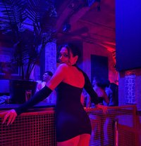 Deniz - Transsexual escort in İstanbul
