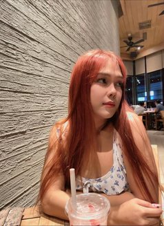 Denny Cia - Transsexual escort in Manila Photo 4 of 6
