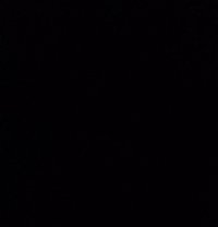 Desi Bull Lahore - Male adult performer in Lahore