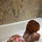 Desire - escort in New Delhi
