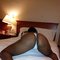Destiny African girl coimbator airport - puta in Coimbatore Photo 2 of 3