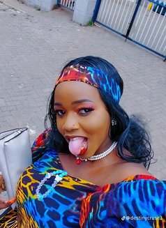 Destiny - Transsexual escort in Nairobi Photo 2 of 8