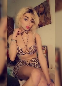 DevaShiraz🧿 - Acompañantes transexual in Beirut Photo 20 of 29