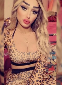 DevaShiraz🧿 - Acompañantes transexual in Beirut Photo 25 of 29