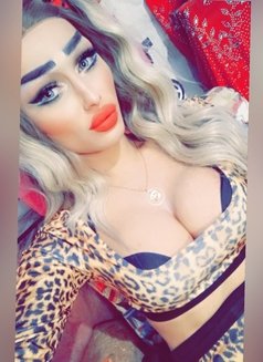 DevaShiraz🧿 - Acompañantes transexual in Beirut Photo 27 of 29