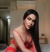 Devilcock69 - Transsexual dominatrix in Singapore