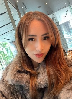 Devina - puta in Singapore Photo 9 of 9