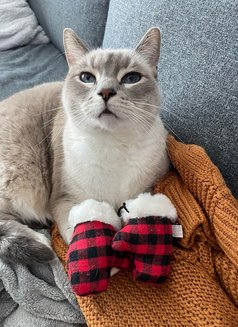 Dgsdhsdhs - puta in New Delhi Photo 1 of 1