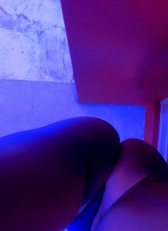 Diamond - escort in Kingston Photo 4 of 9