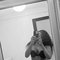 Diamond - escort in Abuja