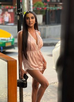 DIAMOND QUEEN MISTRESS - Transsexual escort in Bangkok Photo 12 of 15