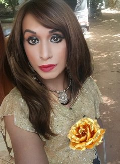 Diamond Sunny Veronica (boss lady ) - Acompañantes transexual in Colombo Photo 21 of 28