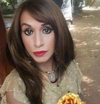 Diamond Sunny Veronica (Dirty Side) - Transsexual escort in Colombo