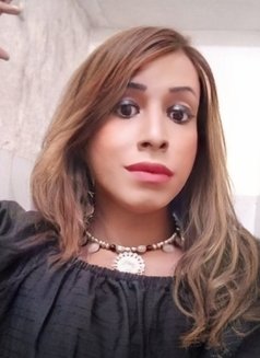 Diamond Sunny Veronica (boss lady ) - Acompañantes transexual in Colombo Photo 15 of 28