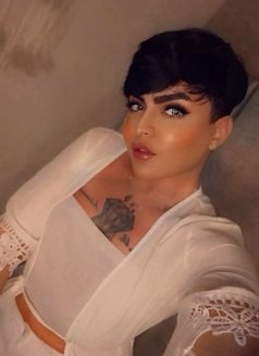 Diamond الشام - Transsexual escort in Dubai Photo 1 of 6