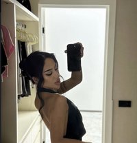 Diana🩷 - Transsexual escort in Riyadh