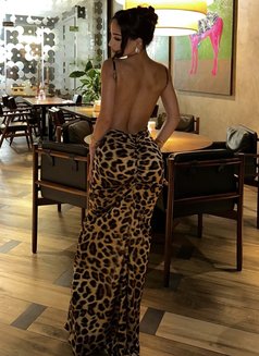 Diana🩷 - Transsexual escort in Riyadh Photo 12 of 18