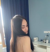 Diana - Acompañantes transexual in Prague (Praha)