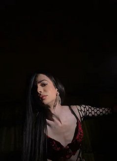 Diana - Acompañantes transexual in Yerevan Photo 2 of 4