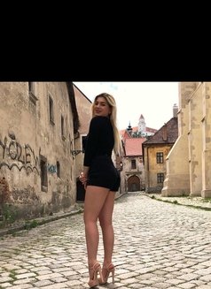 Diana International GFE - escort in Vienna Photo 16 of 20