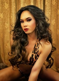 Diana Keith - Acompañantes transexual in Bangkok Photo 9 of 12