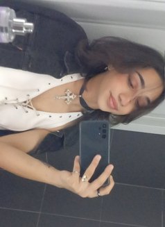 Diana - Transsexual escort in Beirut Photo 4 of 9