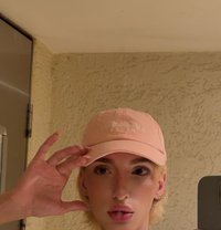Dani - Acompañantes transexual in Baku