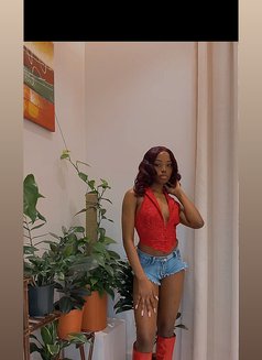 Diana - escort in Riyadh Photo 2 of 6