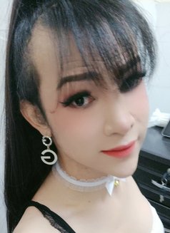 Diana - Acompañantes transexual in Nakhon Ratchasima Photo 8 of 9