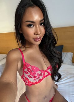 Diana - Transsexual escort in Pattaya Photo 10 of 20