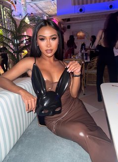 Diana - Acompañantes transexual in Phuket Photo 7 of 13