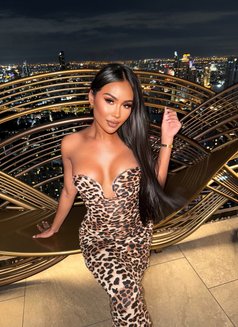 Diana - Transsexual escort in Bangkok Photo 1 of 15