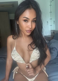 Diana - Transsexual escort in Phuket Photo 16 of 17
