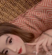 爱 YingYing - Transsexual escort in Manila