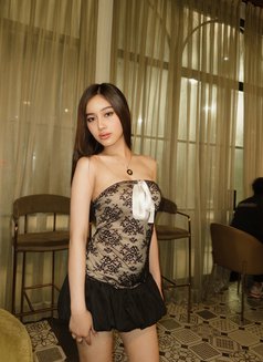 DIANE GFE , JUST ARRIVED - escort in Kuala Lumpur Photo 14 of 15