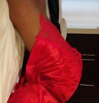 🫦Didi🫦 - Agencia de acompañantes transexuales in Beirut