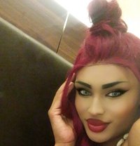 🫦Didi🫦 - Agencia de acompañantes transexuales in Beirut