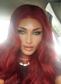 🫦Didi🫦 - Agencia de acompañantes transexuales in Beirut Photo 9 of 15