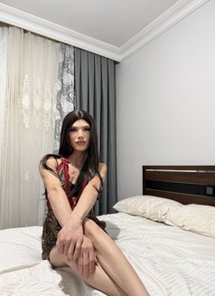 Dido - Transsexual escort in İstanbul Photo 9 of 9