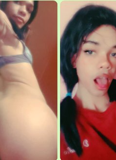 Dilara Hills - Transsexual escort in Cape Town Photo 1 of 6