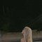 Dilber Escorts in Gurgaon - puta in Gurgaon Photo 3 of 6