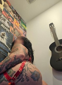 Dildo D - escort in Okinawa Island Photo 1 of 8