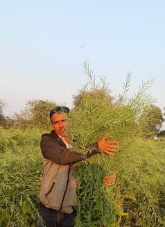 Dilip Chaudhary - Male escort in Mount Abu Photo 4 of 6