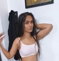Dimple - Transsexual escort in Chennai