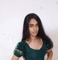 Dimple - Transsexual escort in Chennai