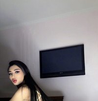 🧚🏻‍♀️DINA 🇦🇲 - Transsexual escort in Jeddah