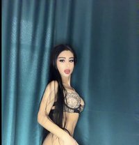 🧚🏻‍♀️DINA 🇦🇲 - Transsexual escort in Jeddah