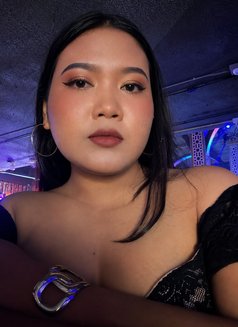 Dina - escort in Phuket Photo 7 of 7