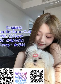 Dingding Top Tier Escort Club - escort agency in Taipei Photo 3 of 10
