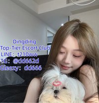 Dingding Top Tier Escort Club - escort agency in Taipei